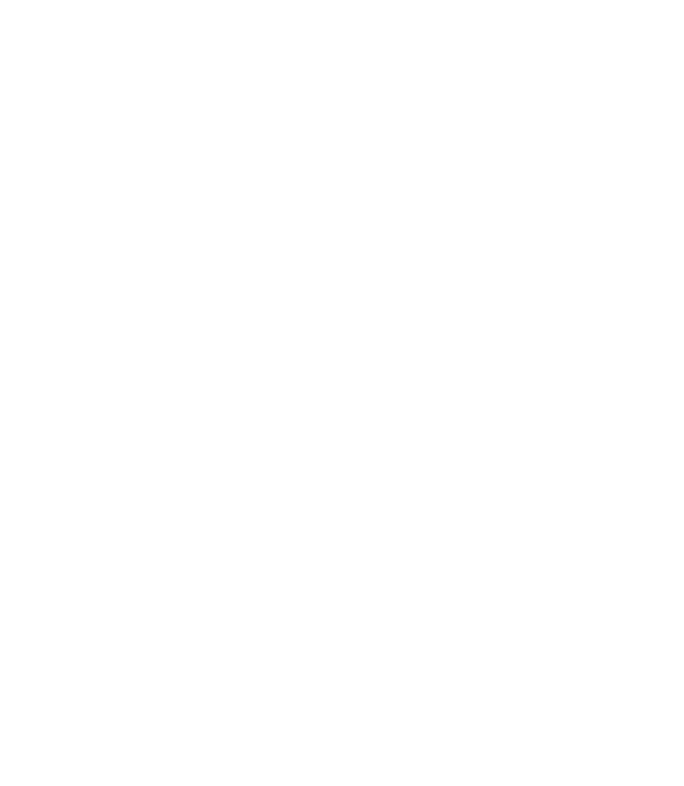 FLU-CODE Consortium Logo